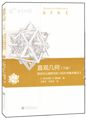 直观几何 下册 附亚历山德罗夫的 拓扑学基本概念 D.希尔伯特 高等教育出版社 平面曲线解析几何 数论应用位形空间之几何指导书籍