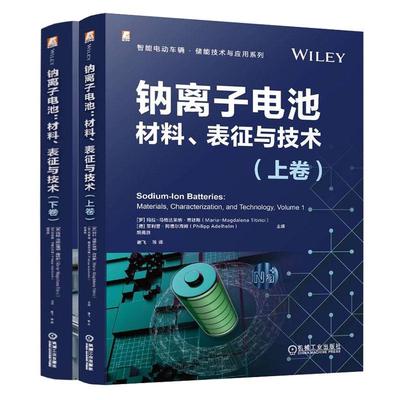 钠离子电池 材料 表征与技术 上下卷 玛拉 马格达莱纳 蒂廷斯 2本 机械工业出版社