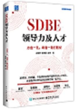 SDBE领导力及人才 力出一孔 将官一打胜仗 胡荣丰 电子工业出版社9787121489129
