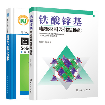 铁酸锌基电材料及储锂性能+固态电化学 2册  铁酸锌基电材料制备及储锂性能研究 电子离子输运 固态电化学原理方法书
