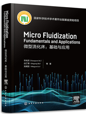 微型流化床 基础与应用 Micro fluidization: Fundamentals and Applications 许光文 等著 9787122420497 化学工业出版社