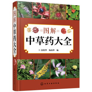 杨高华编 中药百科大全 中药中医医学书 中草药植物图鉴图书籍 岳桂华 家庭中草药图典 图解中草药大全