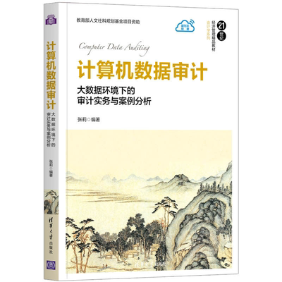 计算机数据审计 大数据环境下的审计实务与案例分析 张莉 计算机数据审计的方法及应用 会计审计财经类相关专业本科生教材书籍