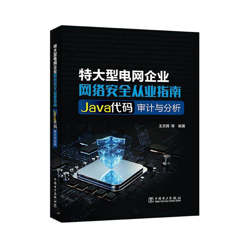 大型电网企业网络从业指南 Java代码审计与分析 王文辉 等 中国电力出版社9787519886677预售