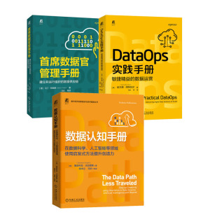 DataOps实践手册 数据官管理手册书籍 敏捷益 人工智能等领域使用启发式 方法提升创造力 在数据科学 数据运营 数据认知手册