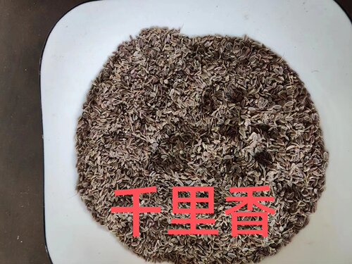 云南千里香怒江干货实惠