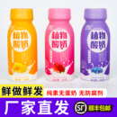豆妃蓝莓大豆酸奶纯素植物豆奶发酵食品不加糖蛋白饮料无添加豆乳
