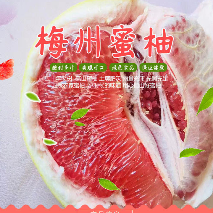 梅州红心柚子礼盒新鲜水果中秋礼