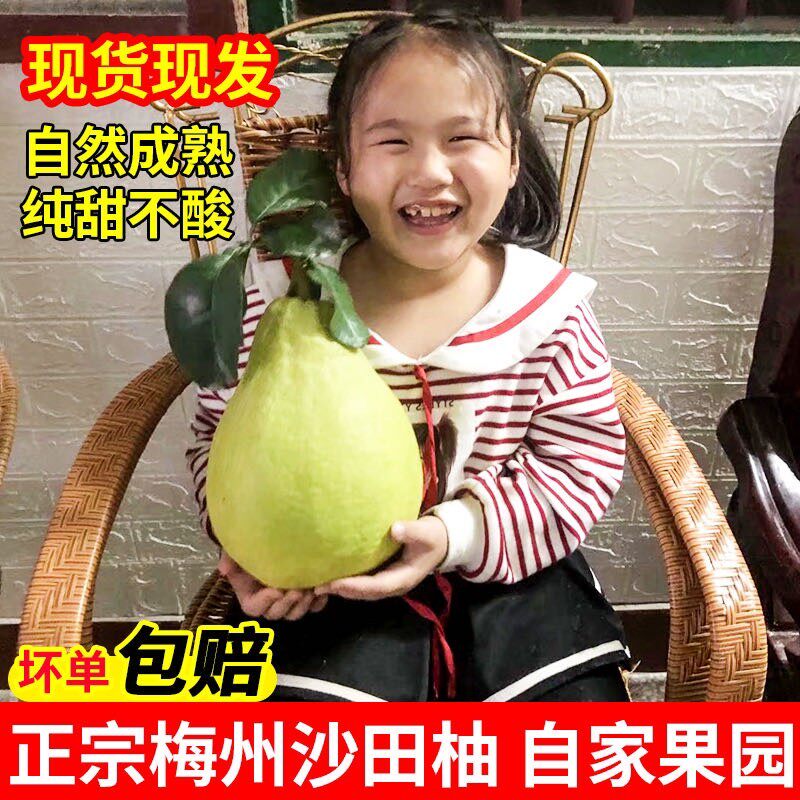 正宗梅州纯甜沙田柚子金柚大果50斤包邮当季新鲜孕妇水果产地直供