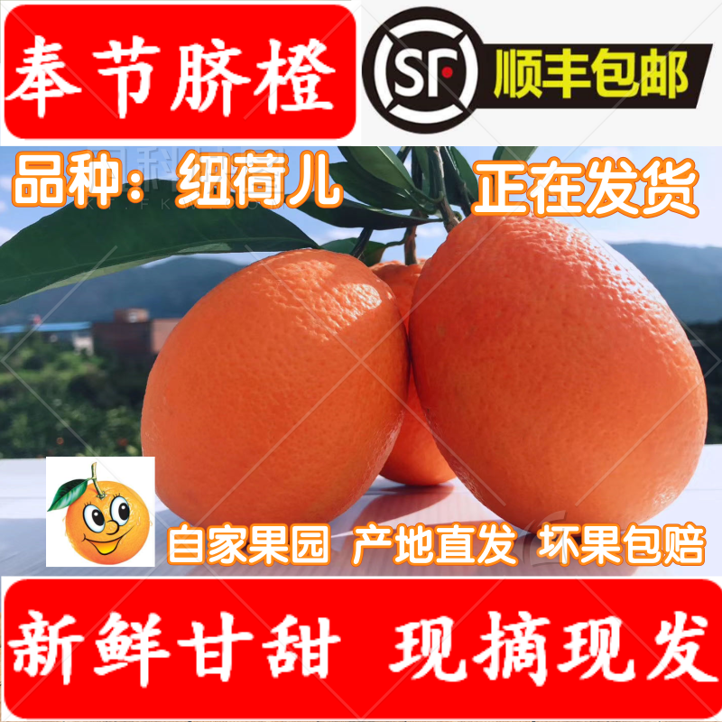 奉节脐橙顺丰包邮新鲜赣南