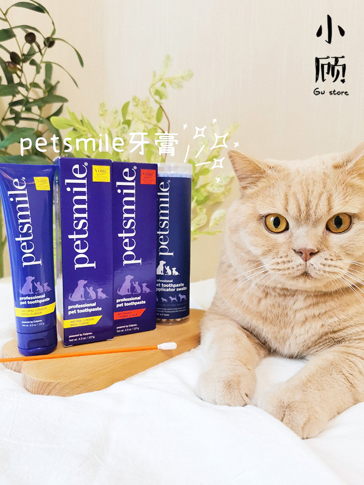 热销牙膏Petsmile去牙结石