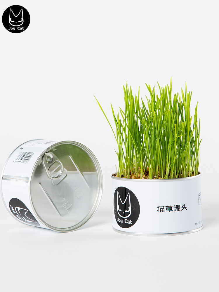 JoyCat化毛小麦无土有机猫草