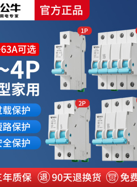 公牛2p空气开关家用小型断路器3p空开4p电闸总闸100a过载保护器1p