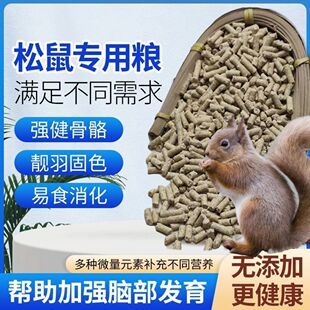 【奶期增肥】松鼠饲料零食奶鼠幼鼠主粮粮食营养长身体食物松鼠