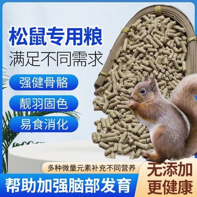 【奶期增肥】松鼠饲料零食奶鼠幼鼠主粮粮食营养长身体食物松鼠