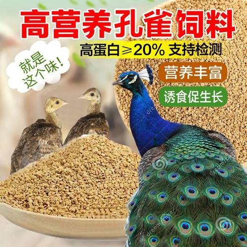 孔雀饲料颗粒食饲料 养殖场 食物小幼苗孔雀吃的鸡鸭鹅专用食饲料