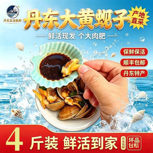 丹东鲜活大黄蚬子无沙包活顺丰