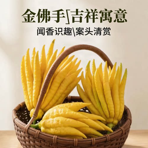 佛手小果黄佛手鲜果金佛手柑迷你小果把玩闻香案头清供观赏佛手果