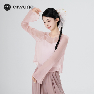 艾舞戈古典舞服纱衣女成人现代舞练功服夏季 飘逸舞蹈服上衣 新款