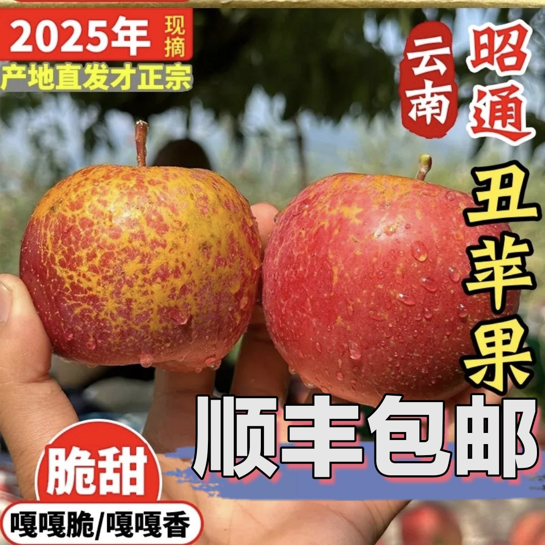 云南昭通糖心丑苹果新鲜采摘