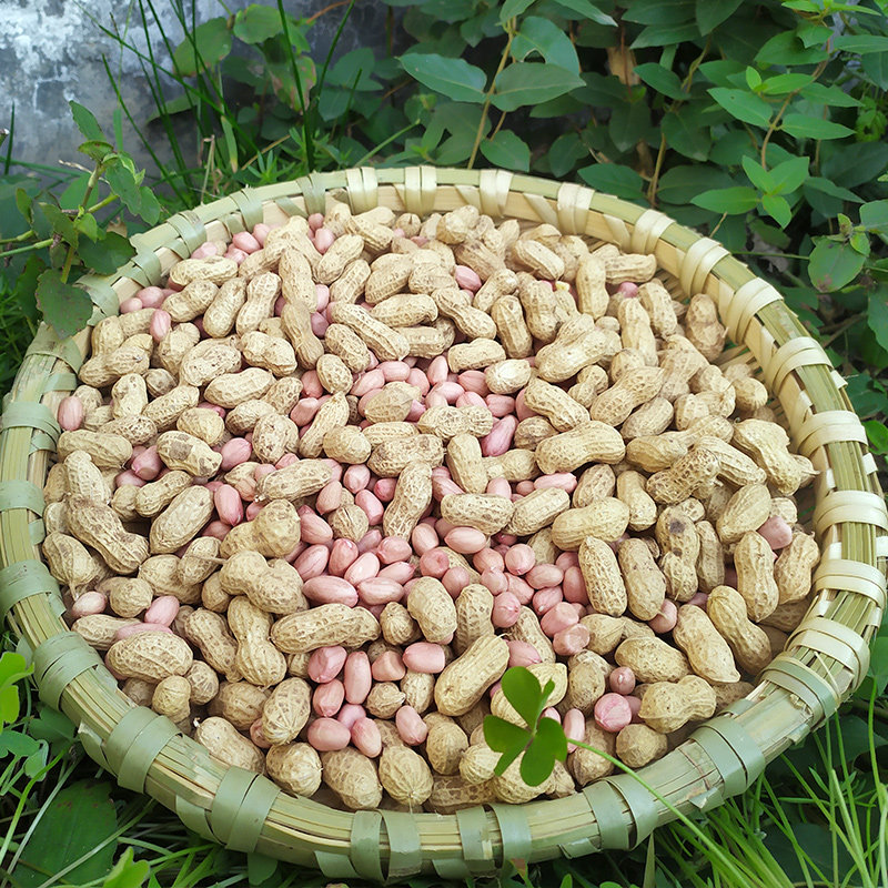 新鲜生花生带壳干花生2023年新货河南农家小花生黄土小白沙花生_虎窝淘