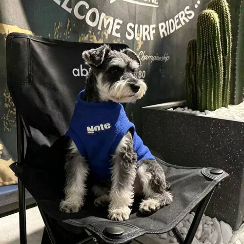 潮牌秋冬新款宠物狗狗衣服帅气无袖保暖衣服雪纳瑞小型犬泰迪猫猫