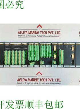 原装供应巴赫曼 fs211/n,di0280,ai0288,ptai216,cnt204/h,cm202,