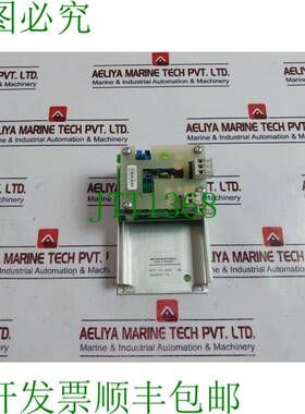 原装供应   DSTY 101 模拟隔离放大器 YM222001-TS