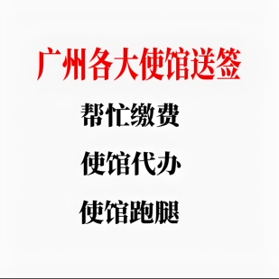 广州各大使馆送签 领取签证 帮忙缴费 代办各种使馆事物 私人定制