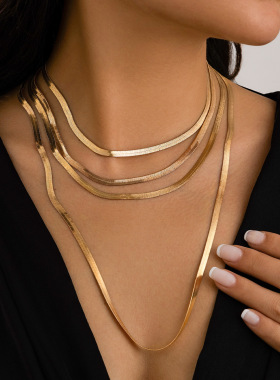 欧美饰品 ins风百搭扁蛇骨Necklace 高级感流苏多层锁骨链
