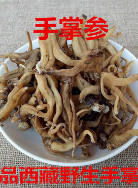 手掌参野生西藏 佛手参西藏特产手儿参阴阳草 正品包邮真货