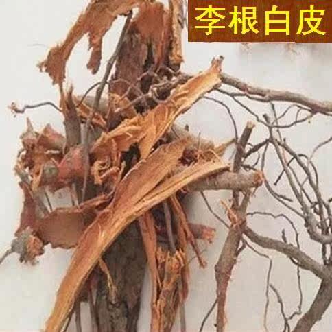 新品李根皮李根皮 野生李根白皮 甘李根白皮500克包邮 正品根皮