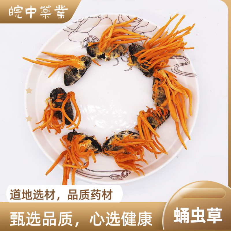 热卖蛹虫草带蛹体孢子头虫草花虫体草金虫草花干货煲汤真货好货