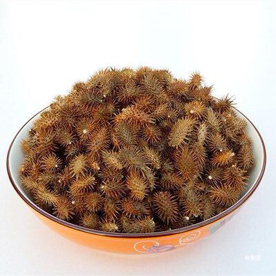 精品晒干苍耳子包邮生苍耳包邮不带刺自然成熟苍耳子真货好货好