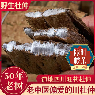 热卖野山野生杜仲四川旺苍男性500g老炒杜仲皮粉茶树拉丝好真货