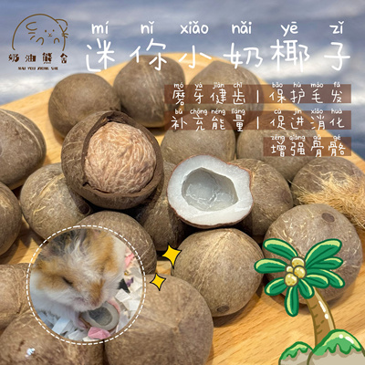 奶油熊舍迷你新鲜小椰子仓鼠金丝熊沙鼠花枝磨牙零食玩具适口性好