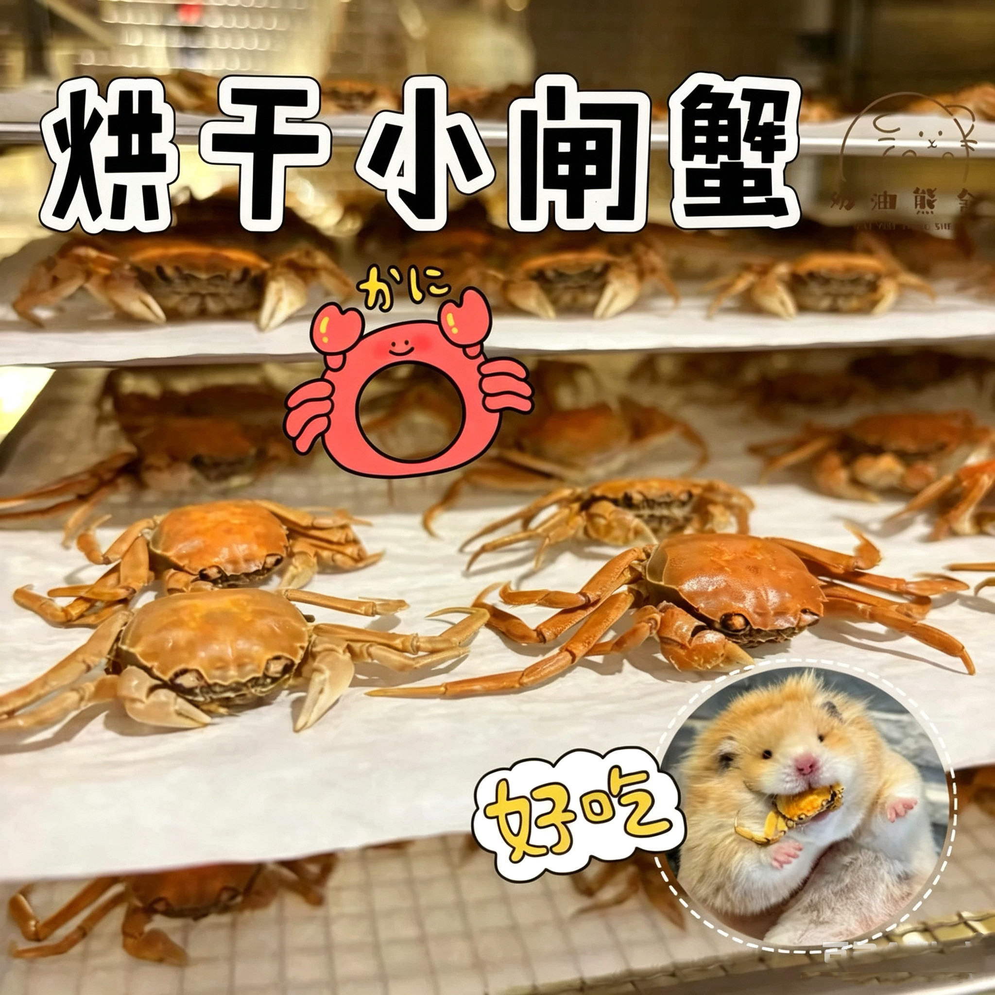 奶油熊舍烘干小闸蟹迷你螃蟹酥脆金丝熊花枝鼠辅食零食仓鼠