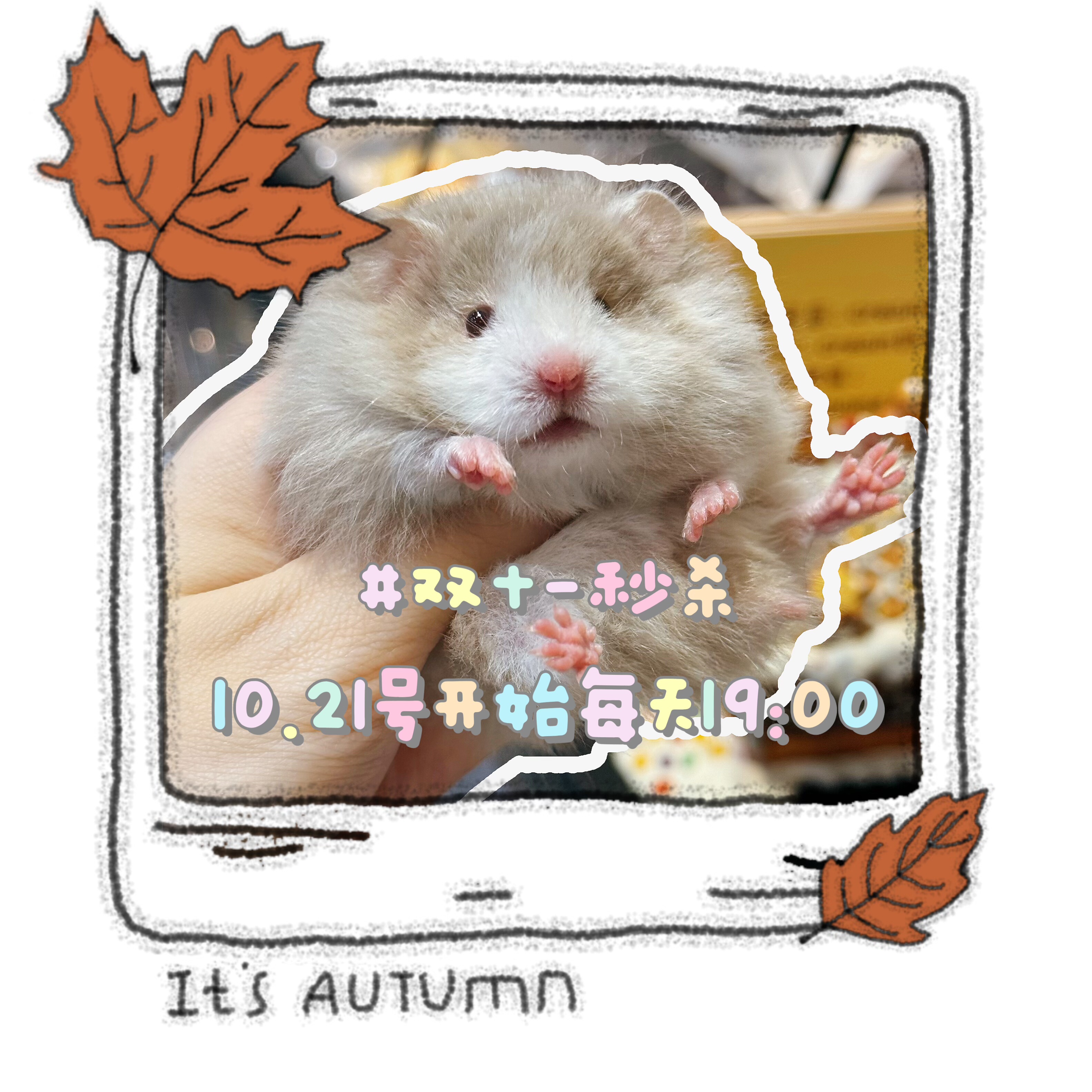 双十一活动秒杀活动奶油熊舍仓鼠零食用品每日10月21号到11月四