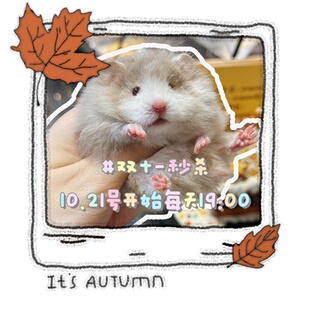 双十一活动秒杀 活动奶油熊舍仓鼠零食用品每日10月21号到11月四