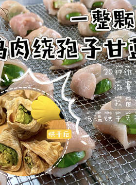 奶油熊舍烘干自制鸡肉绕孢子甘蓝仓鼠金丝熊零食蔬菜蛋白长肉低脂