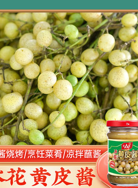冰花黄皮酱(冰花)220g*2瓶卷筒粉饺子蘸点黄皮果酱调味南宁非铁鸟