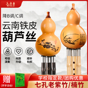 唐音天然葫芦丝乐器小学生专用c调降b调初学成人老年人DGFA旗舰店