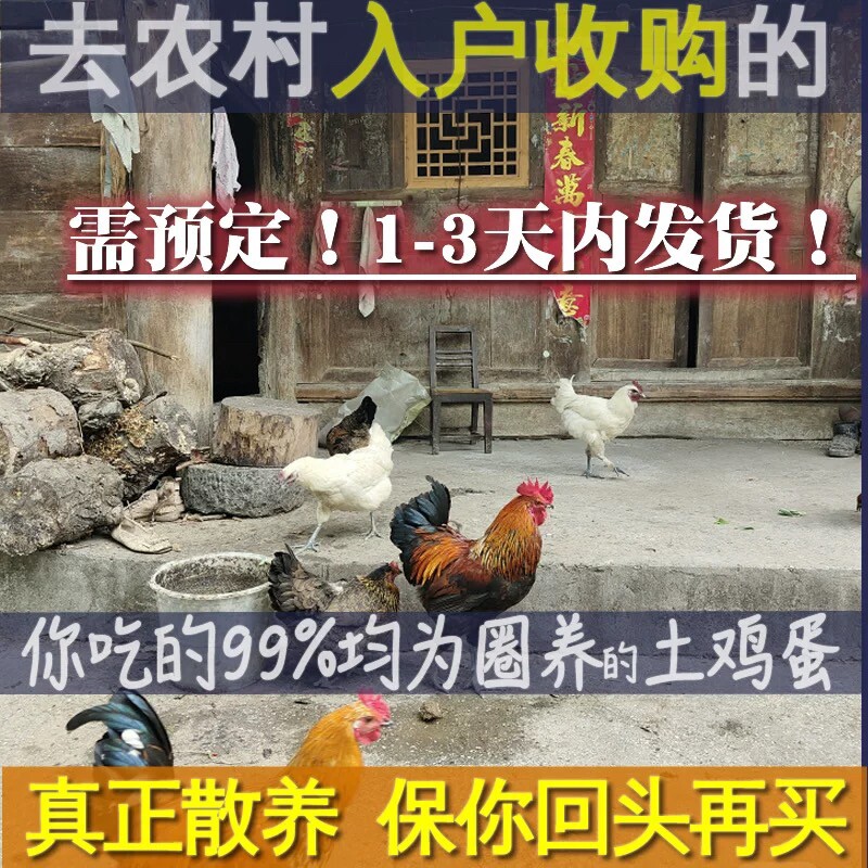 柴鸡蛋盒装散养柴鸡30