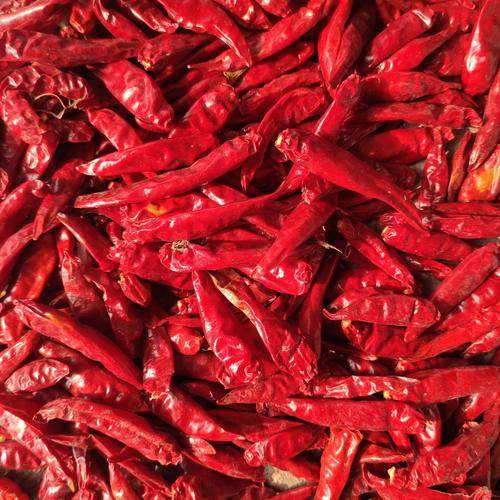 新一代辣椒微辣香辣型干辣椒增香提色新一代干辣椒