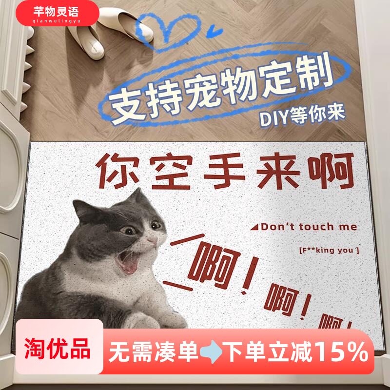 定制宠物毯子玄关地垫创意搞笑家