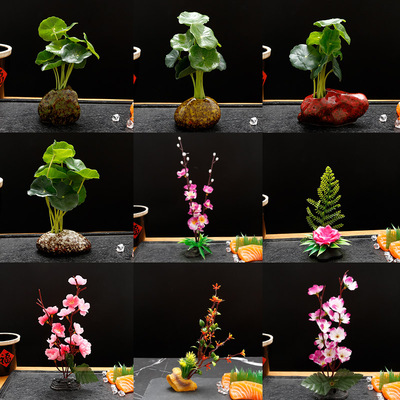 刺身摆盘装饰点缀意境盘式