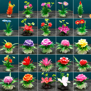 酒店摆盘装饰花菜品冷菜盘式花草点缀盘饰全套围边厨师小摆件盘花