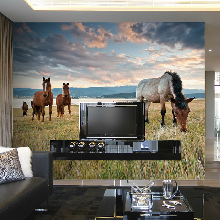 现代唯美客厅卧室电视背景墙蒙古草原自然风景壁纸骏马动物摄影图