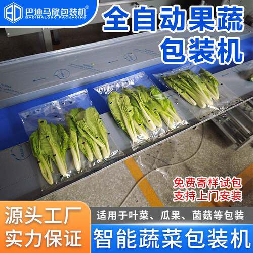 生鲜瓜果蔬菜枕式包装机多功能菜心白菜油麦菜全自动套袋打包机