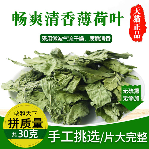 食用新鲜泡茶喝东西可配薄荷叶